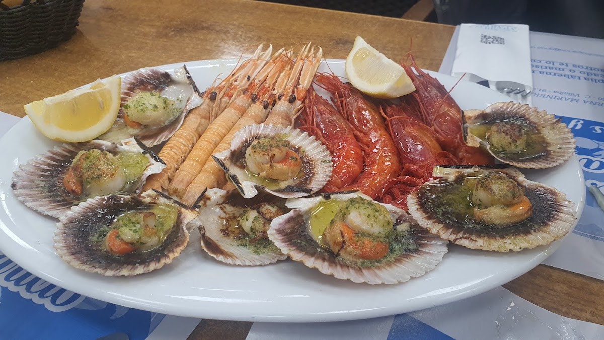 Pescados Solis Aparicio S L-5