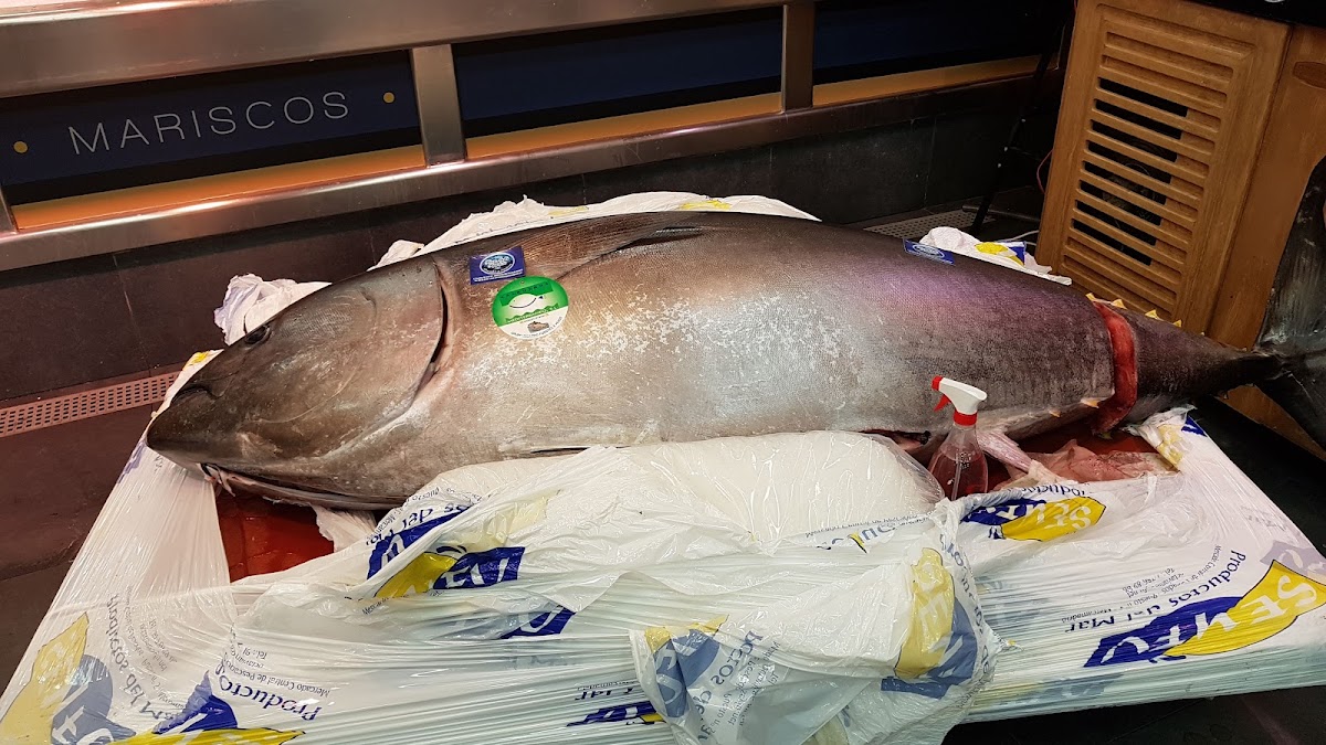 Pescados Solis Aparicio S L-8