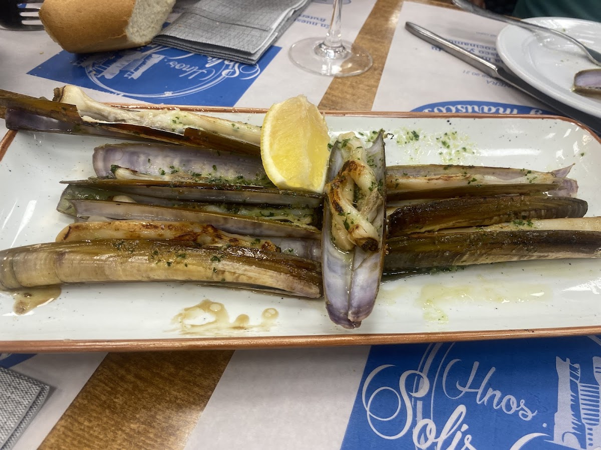 Pescados Solis Aparicio S L-9